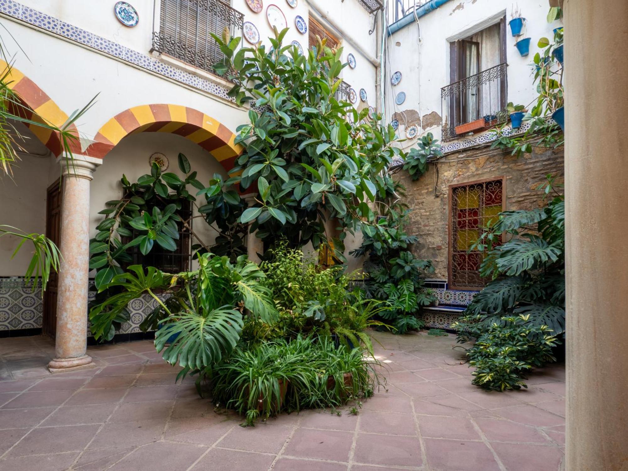 Bhost - Las Canas Córdoba Exteriör bild